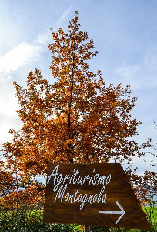 Agriturismo Montagnola Abruzzo Villa Casalanguida Kültér fotó