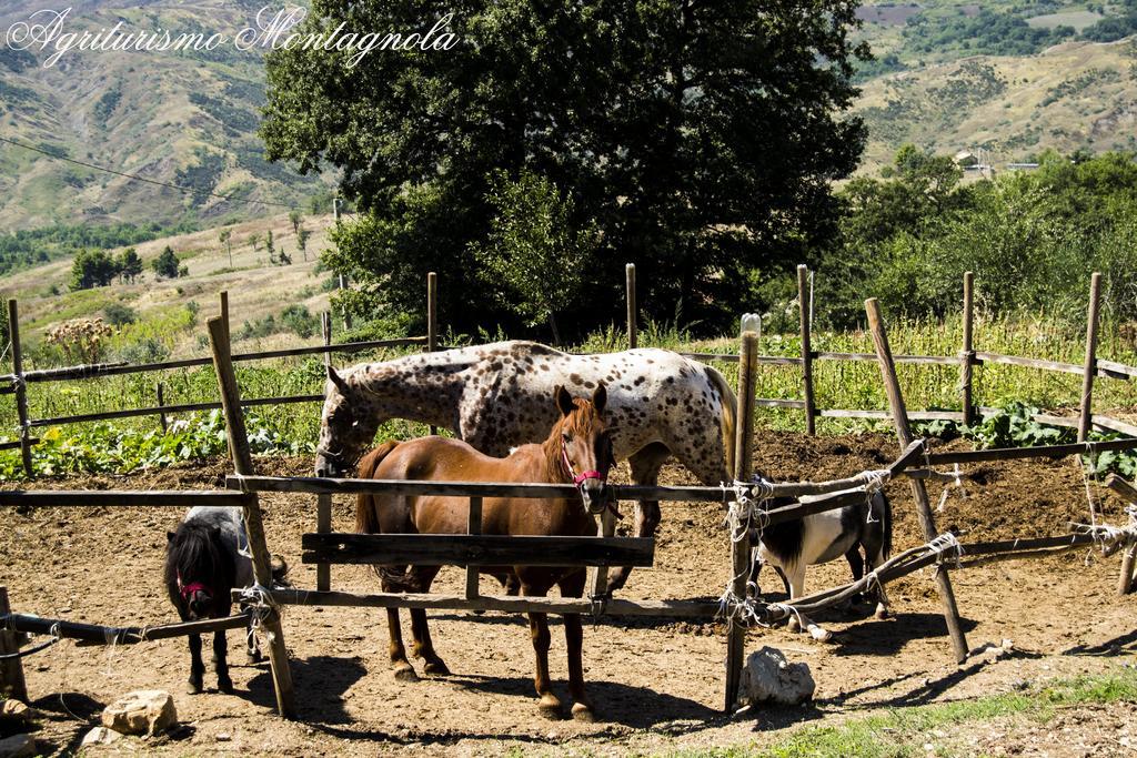 Agriturismo Montagnola Abruzzo Villa Casalanguida Kültér fotó