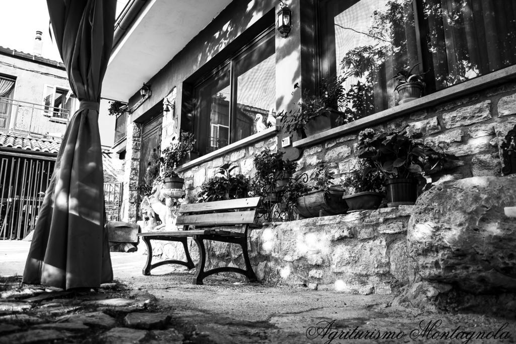 Agriturismo Montagnola Abruzzo Villa Casalanguida Kültér fotó